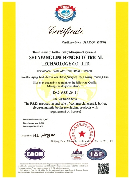 الصين shenyang lincheng Technology Co., Ltd الشهادات